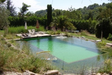 Contrucción de piscina tropical